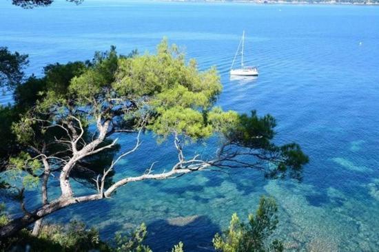Eco-Lodge Lou Pantai Le Pradet Εξωτερικό φωτογραφία